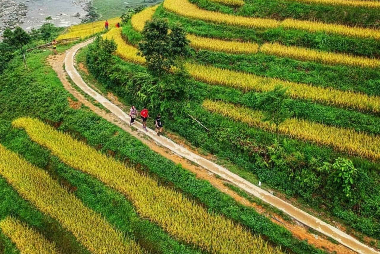 Sapa: 2-dages dalvandring med lokal guide og overnatning på homestay