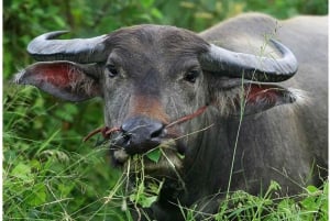 Sapa: 2-Day Local Trekking – The Strangers’ Trail