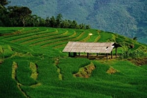 Sapa: 2-Day Local Trekking – The Strangers’ Trail
