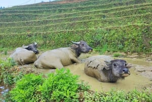 Sapa: 2-Day Local Trekking – The Strangers’ Trail