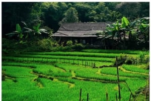 Sapa: 2-Day Local Trekking – The Strangers’ Trail