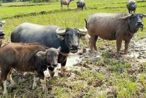 Sapa: 2-Day Local Trekking – The Strangers’ Trail