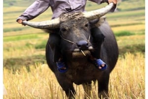 Sapa: 2-Day Local Trekking – The Strangers’ Trail