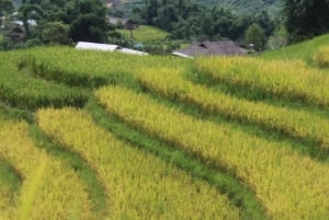 Sapa: 2-Day Local Trekking – The Strangers’ Trail