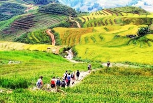 Sapa 2 Day Tour: Cat Cat Village, Glass Bridge, Waterfall
