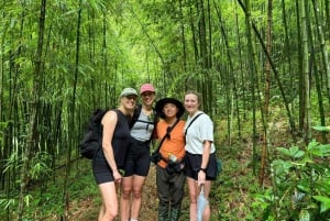 Découvrez Sapa : 2 jours et 1 nuit d'aventure en trek et séjour confortable chez l'habitant à LaLa.