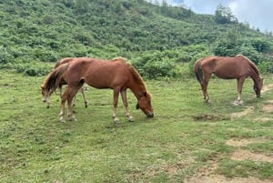 Découvrez Sapa : 2 jours et 1 nuit d'aventure en trek et séjour confortable chez l'habitant à LaLa.