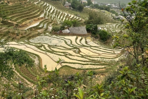Sapa: 2-dages trek med Hmong, workshop og homestay i landsbyen