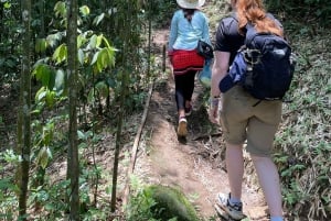 Sapa: 2-dages trek med Hmong, workshop og homestay i landsbyen