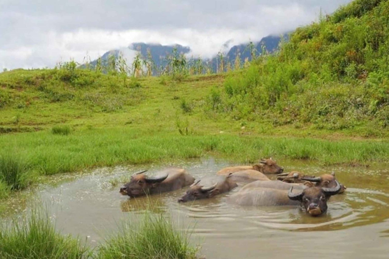 SAPA 2 Day trekking & 1 night Homestay with LOCAL PEOPLE