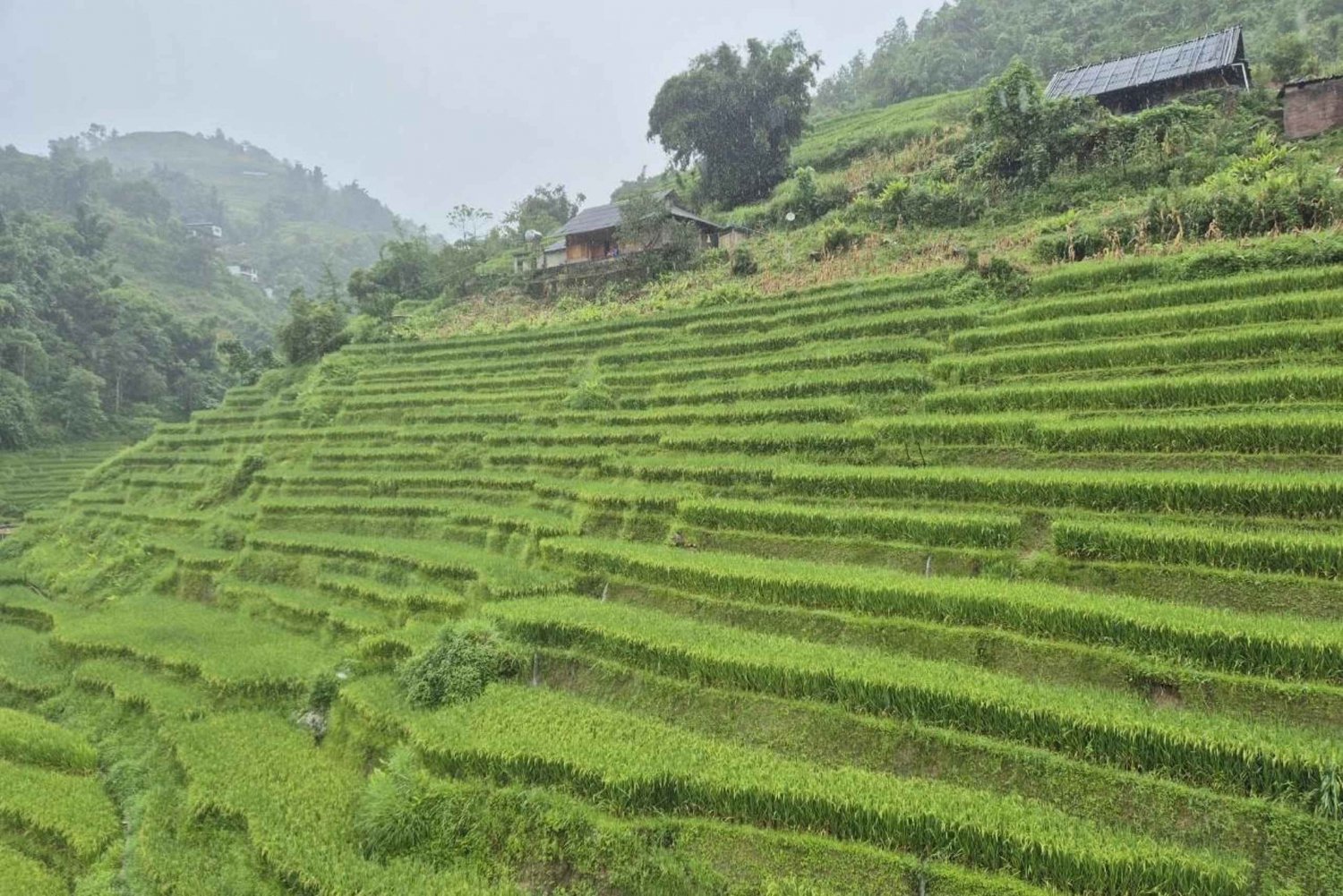 SAPA 2 Day trekking & 1 night Homestay with LOCAL PEOPLE