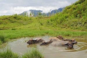 SAPA 2 Day trekking & 1 night Homestay with LOCAL PEOPLE