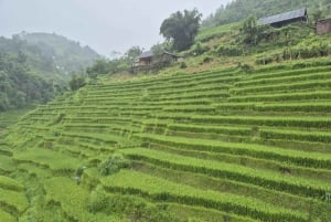 SAPA 2 Day trekking & 1 night Homestay with LOCAL PEOPLE