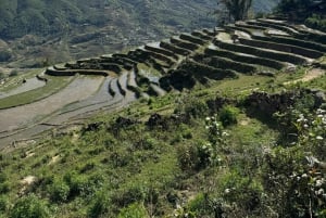 SAPA 2 Day trekking & 1 night Homestay with LOCAL PEOPLE