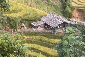 SAPA 2 Day trekking & 1 night Homestay with LOCAL PEOPLE