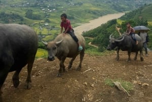 SAPA 2 Day trekking & 1 night Homestay with LOCAL PEOPLE