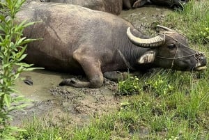 SAPA 2 Day trekking & 1 night Homestay with LOCAL PEOPLE