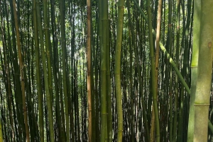 SAPA 2 päivän vaellus ja 1 yö kotimajoituksessa paikallisten kanssa