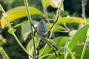 SAPA 2 päivän vaellus ja 1 yö kotimajoituksessa paikallisten kanssa