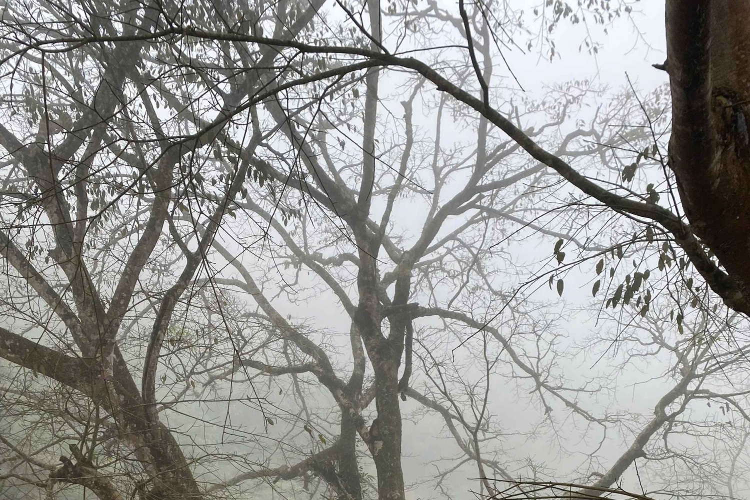 SAPA: 2 PÄIVÄN VAELLUS & KULTTUURI + KOTIMAJOITUS + HMONG-OPPAAN LINH