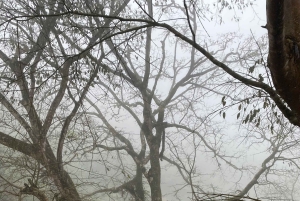 SAPA: 2 PÄIVÄN VAELLUS & KULTTUURI + KOTIMAJOITUS + HMONG-OPPAAN LINH