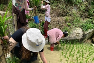 SAPA: 2 PÄIVÄN VAELLUS & KULTTUURI + KOTIMAJOITUS + HMONG-OPPAAN LINH