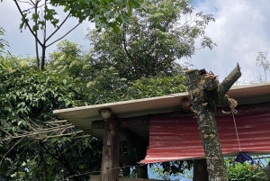 SAPA: 2 PÄIVÄN VAELLUS & KULTTUURI + KOTIMAJOITUS + HMONG-OPPAAN LINH