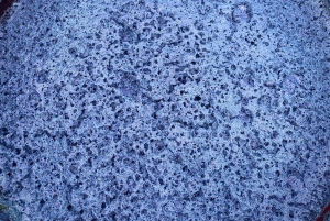 SAPA: 2 PÄIVÄN VAELLUS & KULTTUURI + KOTIMAJOITUS + HMONG-OPPAAN LINH