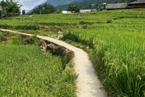 SAPA: 2 PÄIVÄN VAELLUS & KULTTUURI + KOTIMAJOITUS + HMONG-OPPAAN LINH