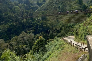 SAPA: 2 PÄIVÄN VAELLUS & KULTTUURI + KOTIMAJOITUS + HMONG-OPPAAN LINH