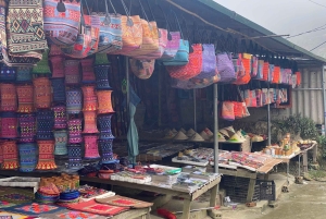 SAPA: 2 PÄIVÄN VAELLUS & KULTTUURI + KOTIMAJOITUS + HMONG-OPPAAN LINH