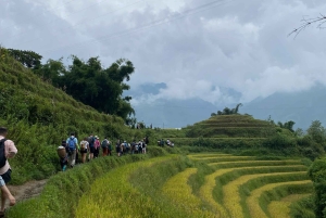 SAPA: 2 PÄIVÄN VAELLUS & KULTTUURI + KOTIMAJOITUS + HMONG-OPPAAN LINH