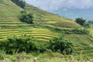 SAPA: 2 PÄIVÄN VAELLUS & KULTTUURI + KOTIMAJOITUS + HMONG-OPPAAN LINH