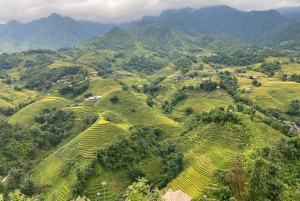 SAPA: 2 PÄIVÄN VAELLUS & KULTTUURI + KOTIMAJOITUS + HMONG-OPPAAN LINH