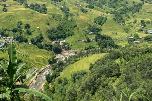 SAPA: 2 PÄIVÄN VAELLUS & KULTTUURI + KOTIMAJOITUS + HMONG-OPPAAN LINH