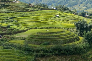 SAPA: 2 PÄIVÄN VAELLUS & KULTTUURI + KOTIMAJOITUS + HMONG-OPPAAN LINH