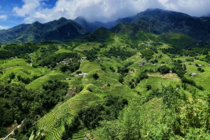 SAPA: 2 PÄIVÄN VAELLUS & KULTTUURI + KOTIMAJOITUS + HMONG-OPPAAN LINH