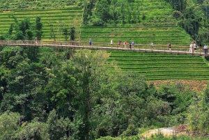 SAPA: 2 PÄIVÄN VAELLUS & KULTTUURI + KOTIMAJOITUS + HMONG-OPPAAN LINH