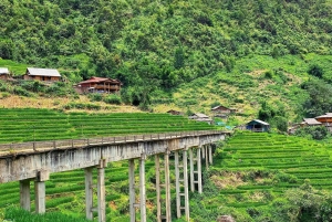 SAPA: 2 PÄIVÄN VAELLUS & KULTTUURI + KOTIMAJOITUS + HMONG-OPPAAN LINH