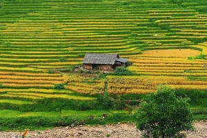 SAPA: 2 PÄIVÄN VAELLUS & KULTTUURI + KOTIMAJOITUS + HMONG-OPPAAN LINH