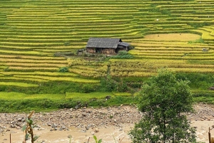 SAPA: 2 PÄIVÄN VAELLUS & KULTTUURI + KOTIMAJOITUS + HMONG-OPPAAN LINH