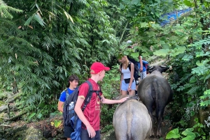 SAPA: 2 PÄIVÄN VAELLUS & KULTTUURI + KOTIMAJOITUS + HMONG-OPPAAN LINH