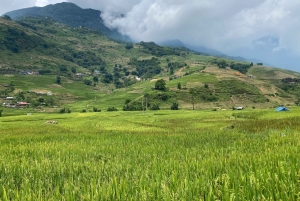 SAPA: 2 PÄIVÄN VAELLUS & KULTTUURI + KOTIMAJOITUS + HMONG-OPPAAN LINH