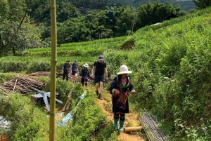 SAPA: 2 PÄIVÄN VAELLUS & KULTTUURI + KOTIMAJOITUS + HMONG-OPPAAN LINH