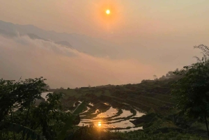 Sapa : randonnée de 2 jours et 1 nuit chez l'habitant avec un guide de la région