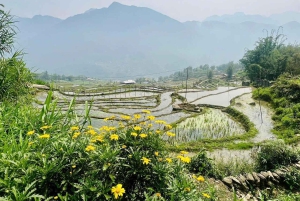 Sapa : randonnée de 2 jours et 1 nuit chez l'habitant avec un guide de la région