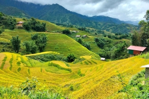 Sapa : randonnée de 2 jours et 1 nuit chez l'habitant avec un guide de la région