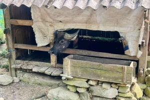 Sapa: 2 días de senderismo y 1 noche en casa de familia con guía local