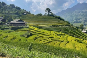 SAPA: 2 GIORNI a piedi e 1 notte in famiglia con guida locale