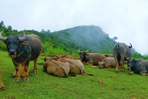 SAPA: 2 GIORNI a piedi e 1 notte in famiglia con guida locale